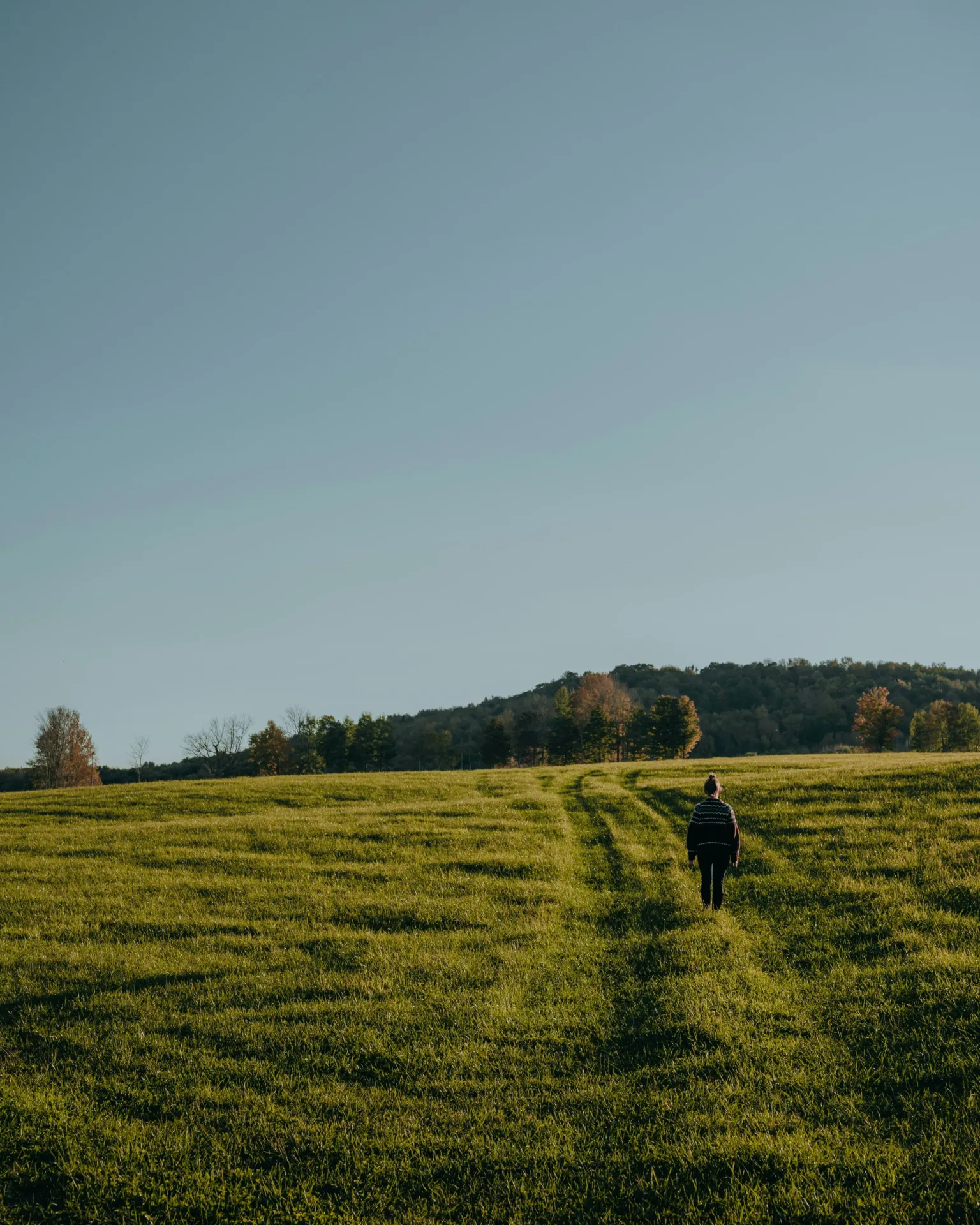 clay banks 6gmaqzk9u5k unsplash